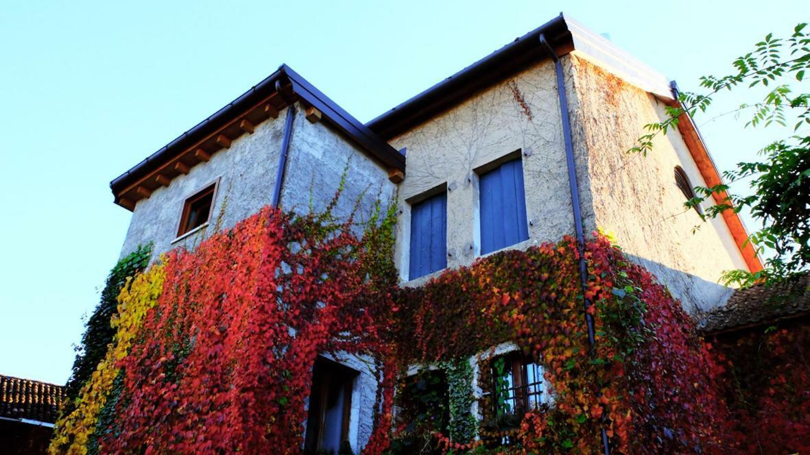 בלונו B&B Col Del Vin מראה חיצוני תמונה